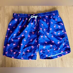 Blue Flamingo Swim Shorts